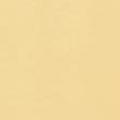 Pure Cotton Pique Polo Shirt - softyellow