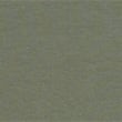 Pure Cotton Long Sleeve T-Shirt - khaki