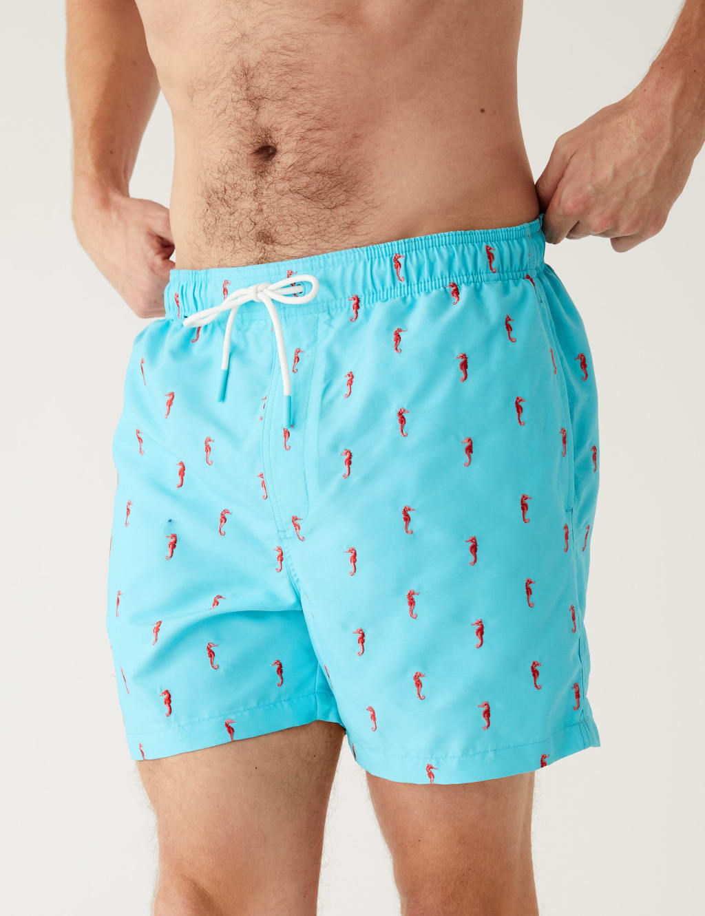 Quick Dry Embroidered Swim Shorts image 2