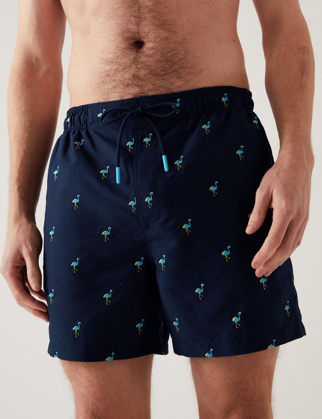 Quick Dry Embroidered Swim Shorts image 1