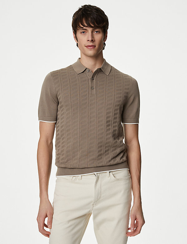 Cotton Rich Textured Knitted Polo Shirt - CZ