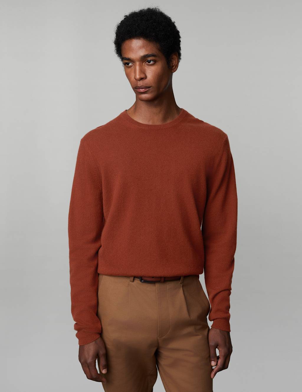 Pure Cashmere Crew Neck Jumper image 4