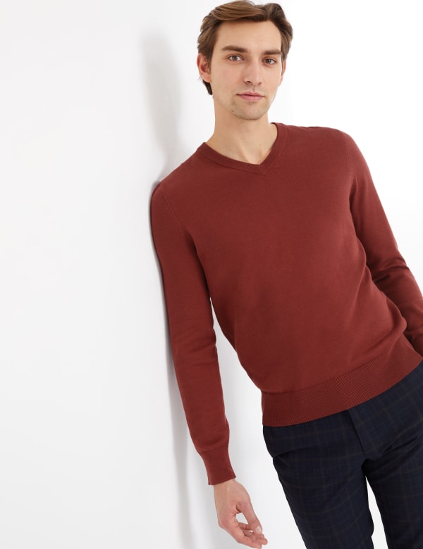 Pure Cotton V-Neck Jumper