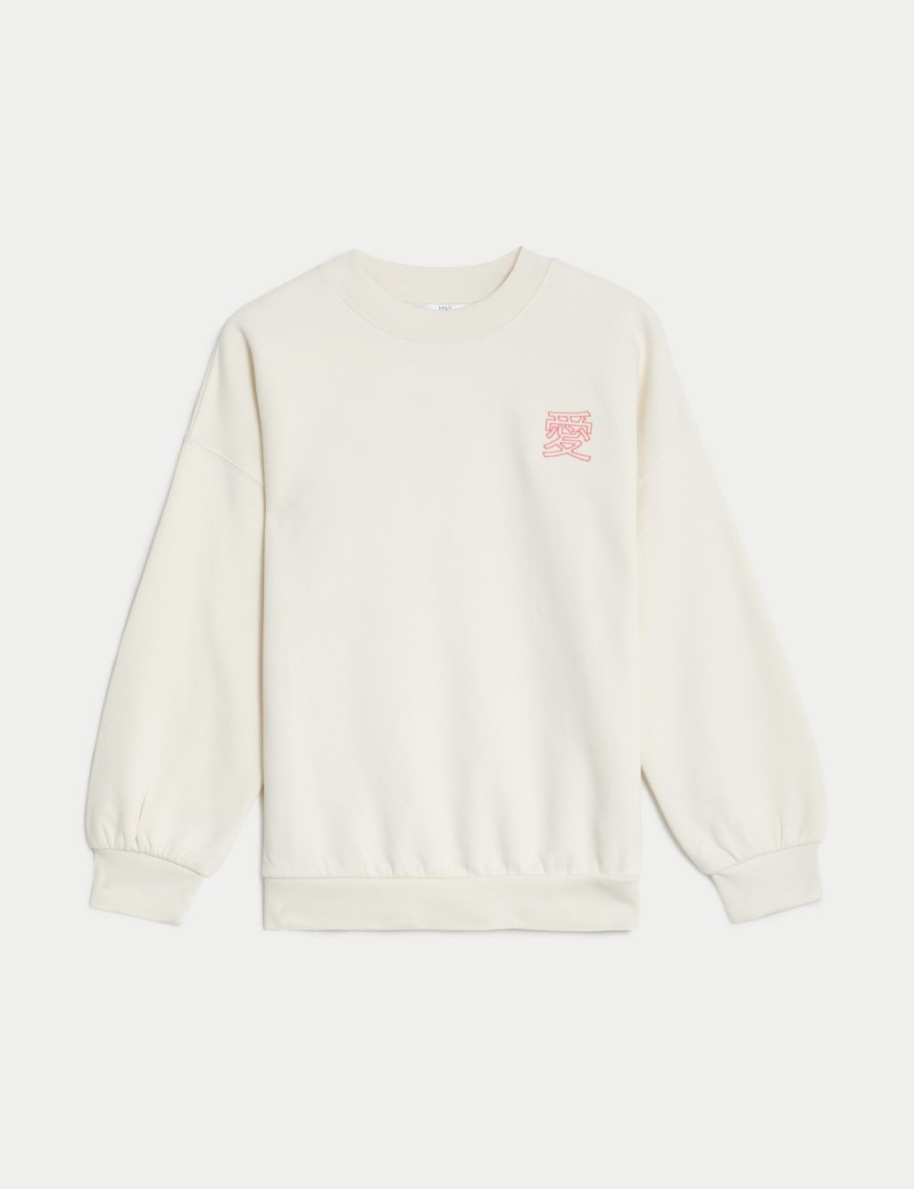 Cotton Rich Dragon Graphic Sweatshirt (6-16 Yrs) image 2
