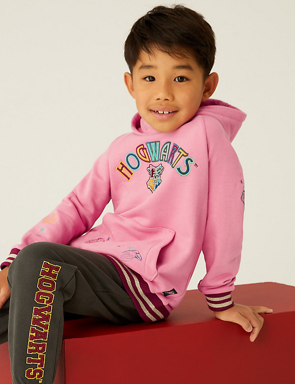 Cotton Rich Harry Potter™ Hoodie (6-16 Yrs) - SG