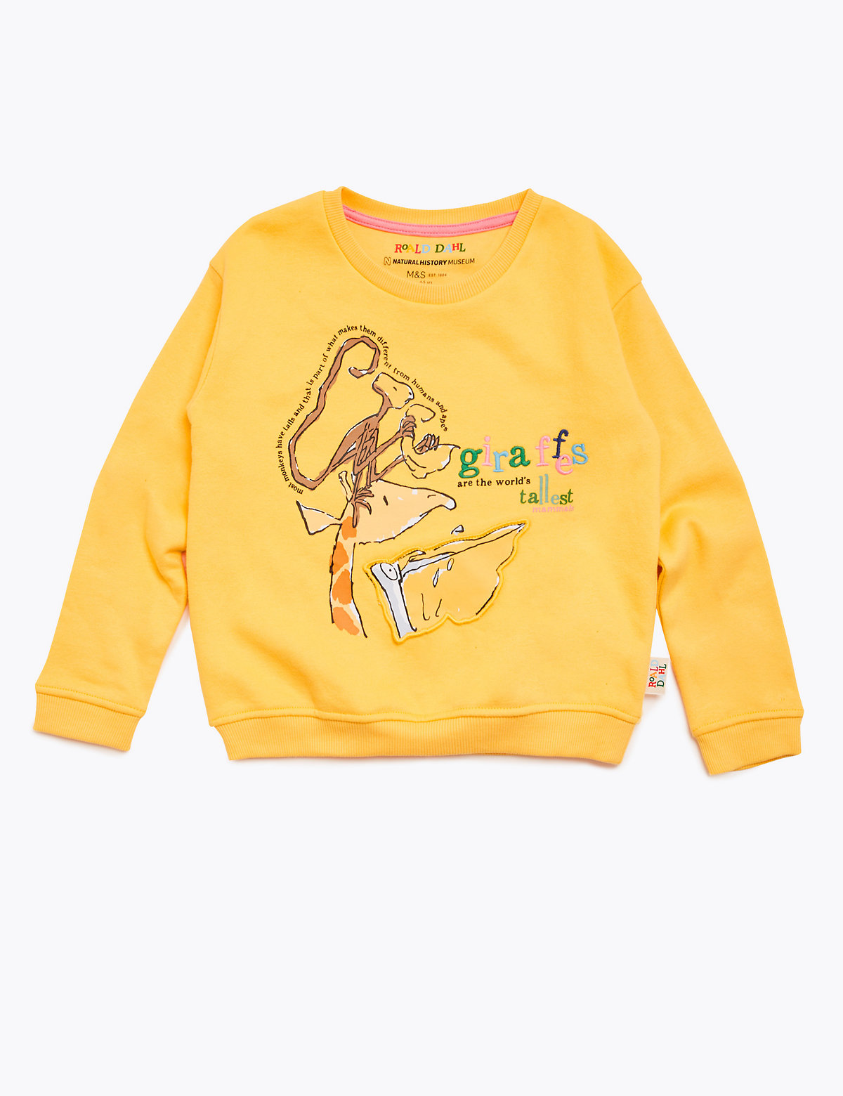 Roald Dahl™ & NHM™ Giraffe Sweatshirt (2-7 Yrs)