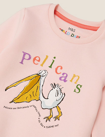 Roald Dahl™ & NHM™ Pelican Sweatshirt
