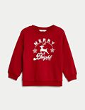 Cotton Rich Christmas Sweatshirt (2-8 Yrs)