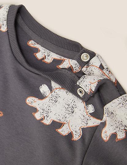 Cotton Dinosaur Print Sweatshirt (0-3 Yrs)