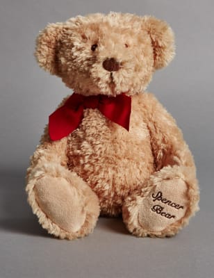 m&s teddy