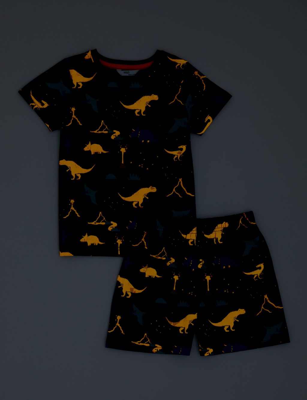 Pure Cotton Dinosaur Short Pyjama Set (12 Mths - 8 Yrs) image 2