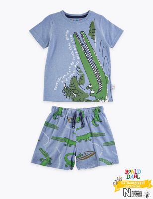 Roald Dahlâ„¢ & NHMâ„¢ Crocodile Pyjamas Set (1-7 Yrs) 