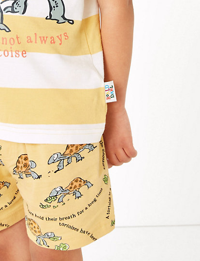 Roald Dahl™ & NHM™ Tortoise Pyjamas (1-7 Yrs)
