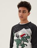 Knitted Christmas Dinosaur Jumper (6-16 Yrs)