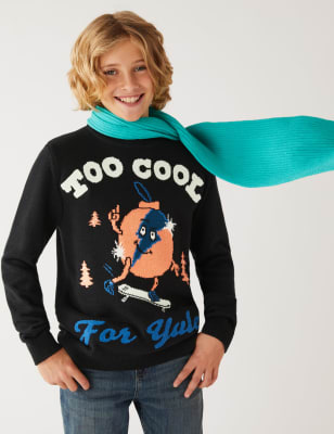 Pure Cotton Christmas Jumper