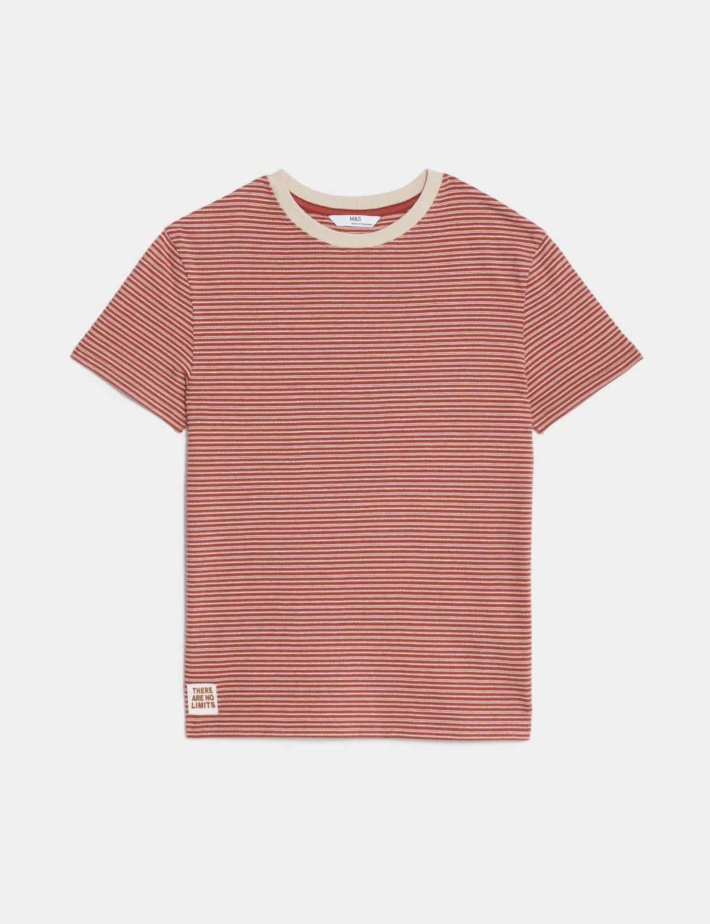 Pure Cotton Striped T-Shirt (6-16 Yrs) image 2