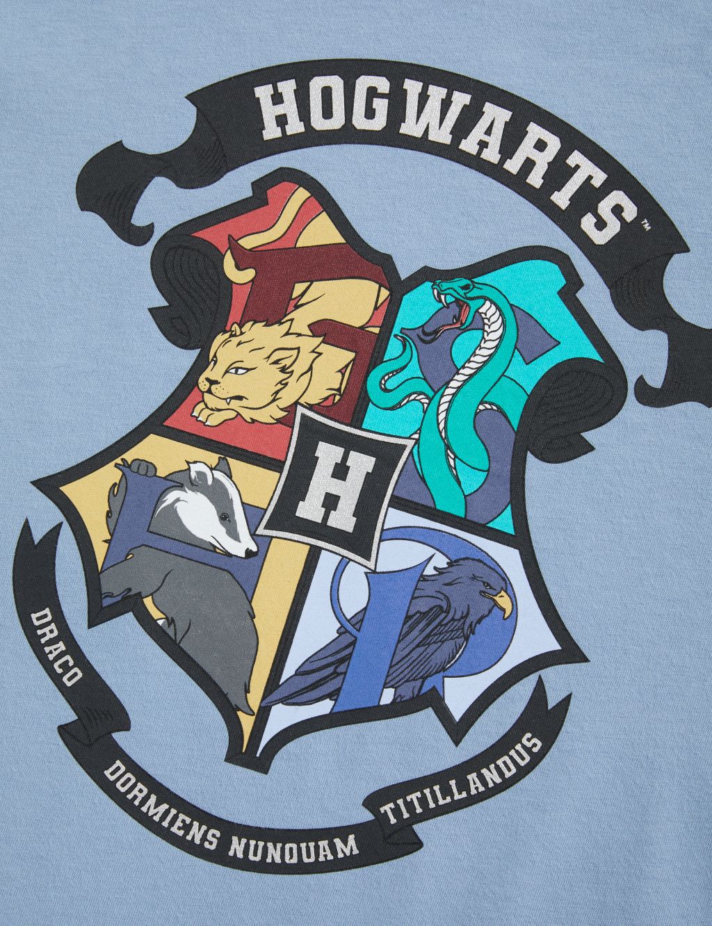 Pure Cotton Harry Potter™ T-Shirt (6-16 Yrs) image 5
