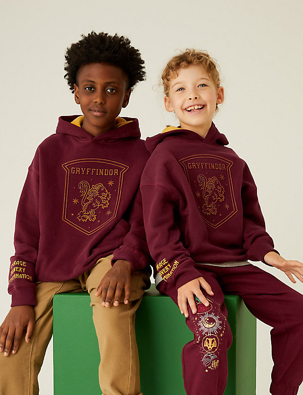 Cotton Rich Harry Potter™ House Hoodie (6-16 Yrs) - IL