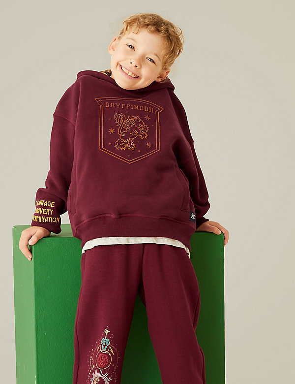 Cotton Rich Harry Potter™ House Hoodie (6-16 Yrs) - CA