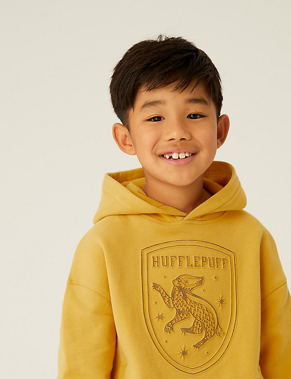Cotton Rich Harry Potter™ House Hoodie (6-16 Yrs) - FI