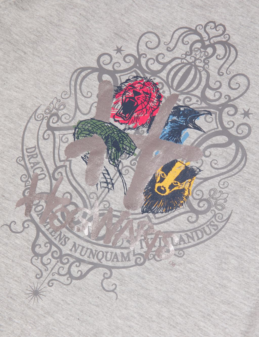 Cotton Rich Harry Potter™ Graffiti T-Shirt (6-16 Yrs) image 4