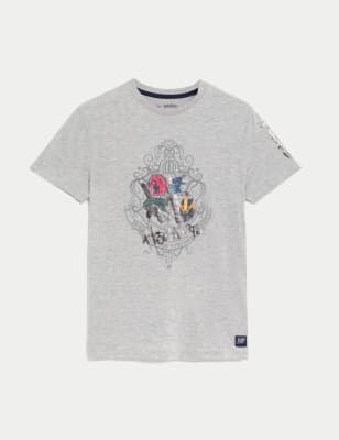 

M&S Collection Camiseta de algodón con graffiti de Harry Potter™ (6-16 años) - Light Grey, Light Grey