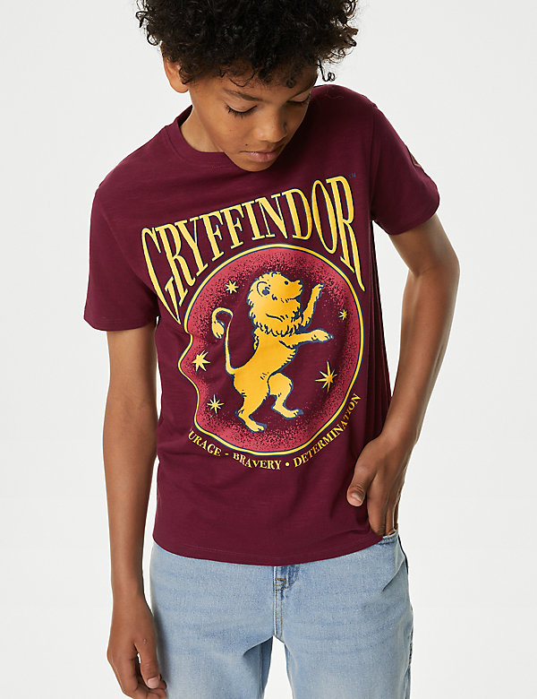 Pure Cotton Harry Potter™ Slytherin T-Shirt (6-16 Yrs) - SE