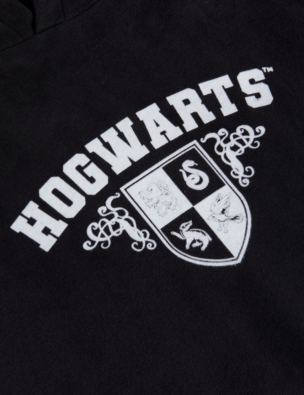 Cotton Rich Harry Potter™ Hoodie (6-16 Yrs) image 5