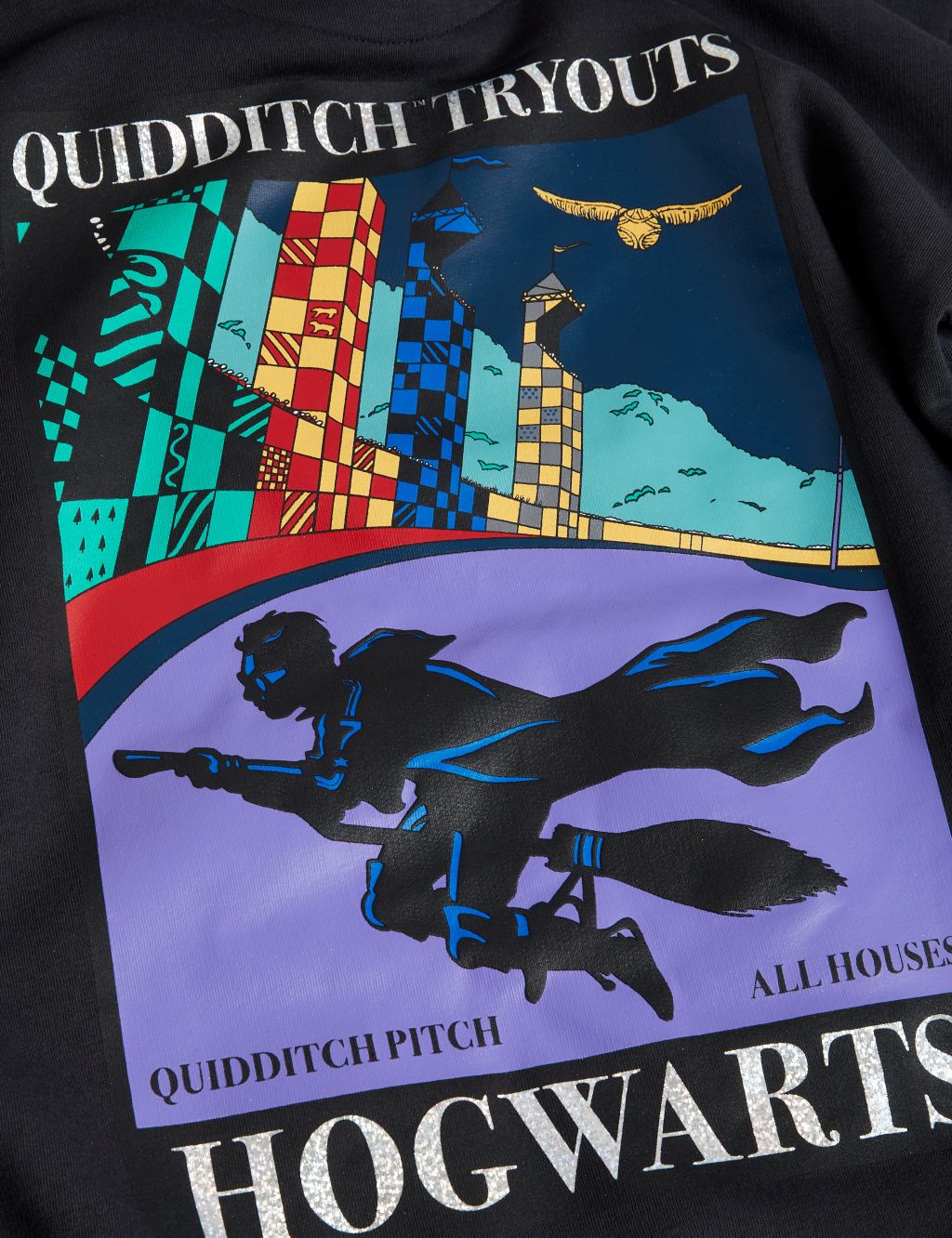 Cotton Rich Harry Potter™ Quidditch™ Hoodie (6-16 Yrs) image 5