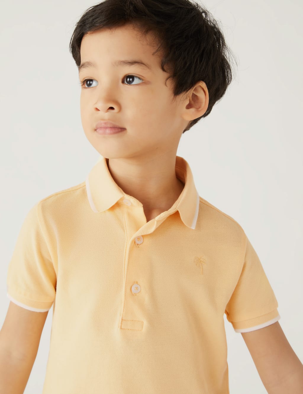 Pure Cotton Polo Shirt (2-8 Yrs) image 3