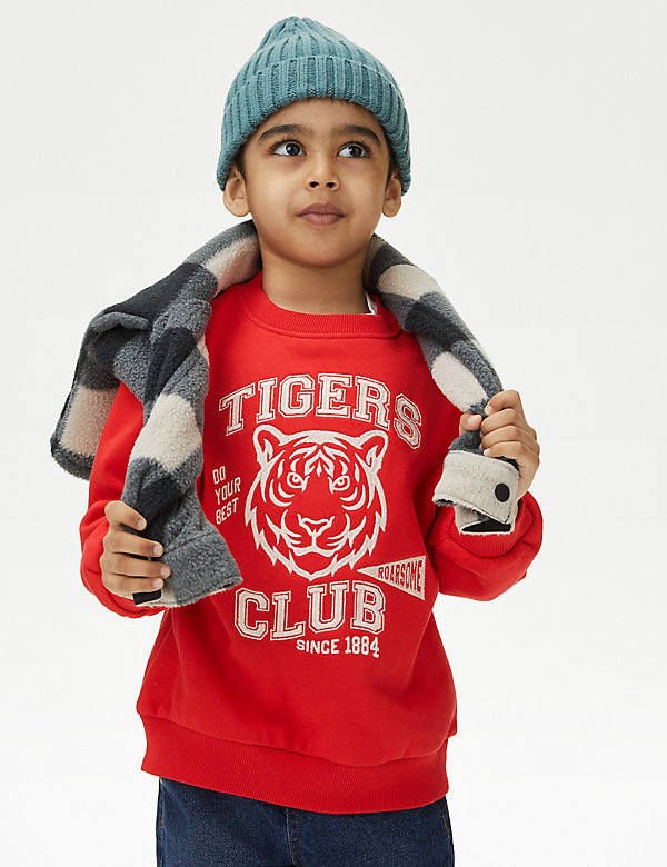 Katoenrijke sweater met tijgermotief (2-8 jaar) - BE