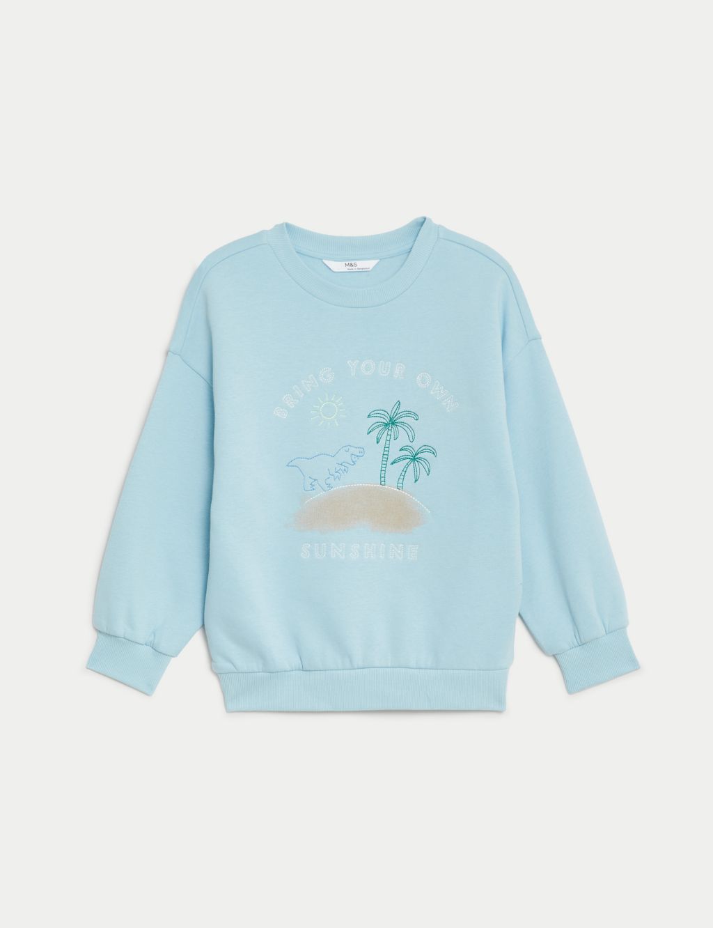 Cotton Rich Dinosaur Sweatshirt (3-8 Yrs)