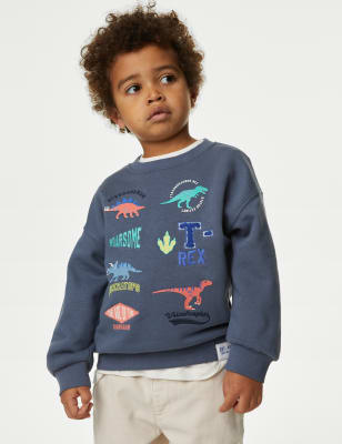 Cotton Rich Dinosaur Sweatshirt (2-8 Yrs) - CN