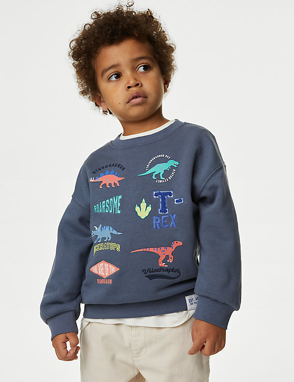 Cotton Rich Dinosaur Sweatshirt (2-8 Yrs) - GR