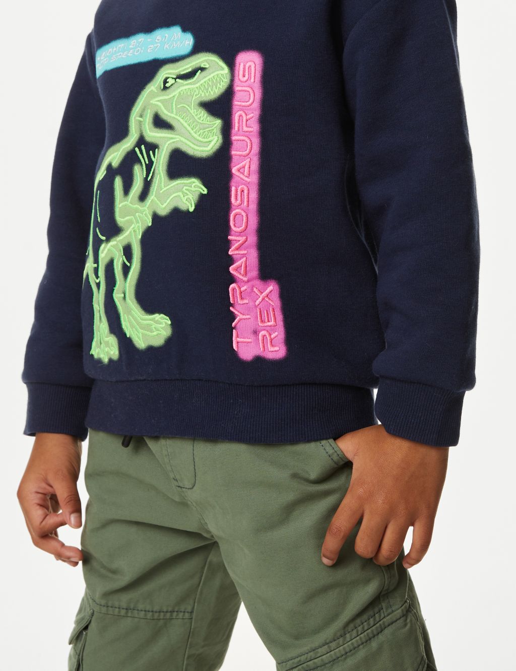 Cotton Rich Dinosaur Sweatshirt (2-8 Yrs) image 3