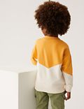 Cotton Rich Colour Block Sweatshirt