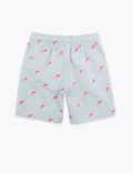 Dolphin Embroidered Striped Swim Shorts (2-7 Yrs)