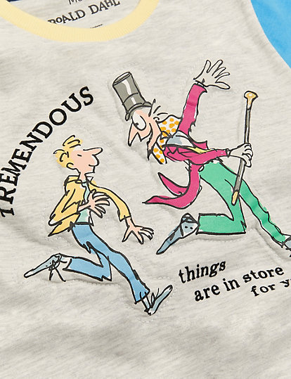 Roald Dahl™ Cotton T-Shirt (2-7 yrs)