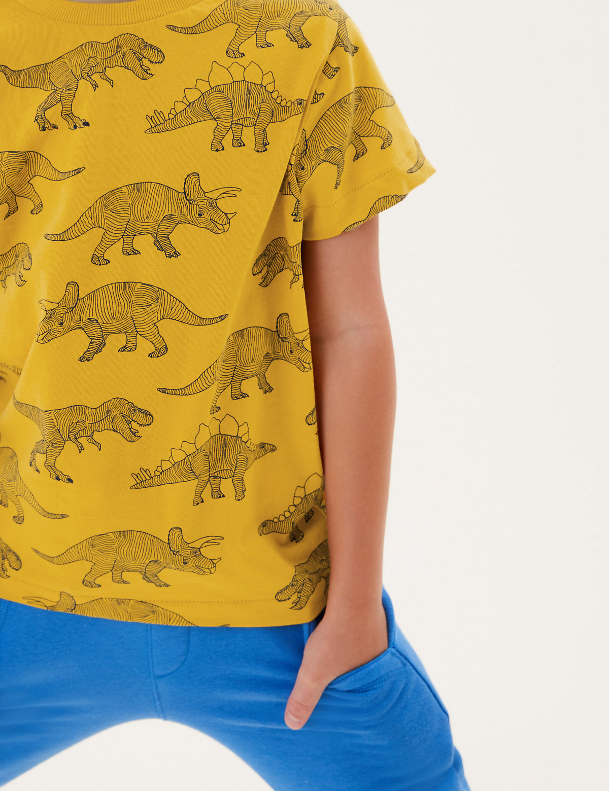 Pure Cotton Dinosaur T-Shirt (2-7 Yrs)