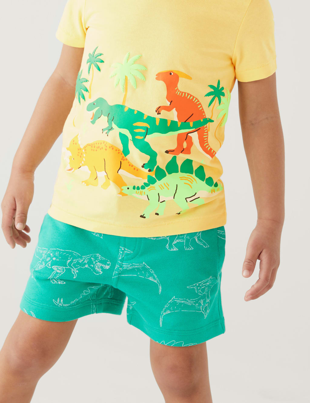 Pure Cotton Dinosaur Print T-Shirt (2-8 Yrs) image 3