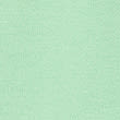 Cotton Rich Plain Shorts (2-8 Yrs) - green