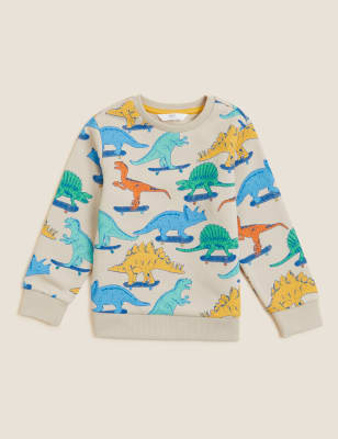 Boys best sale dinosaur sweatshirt