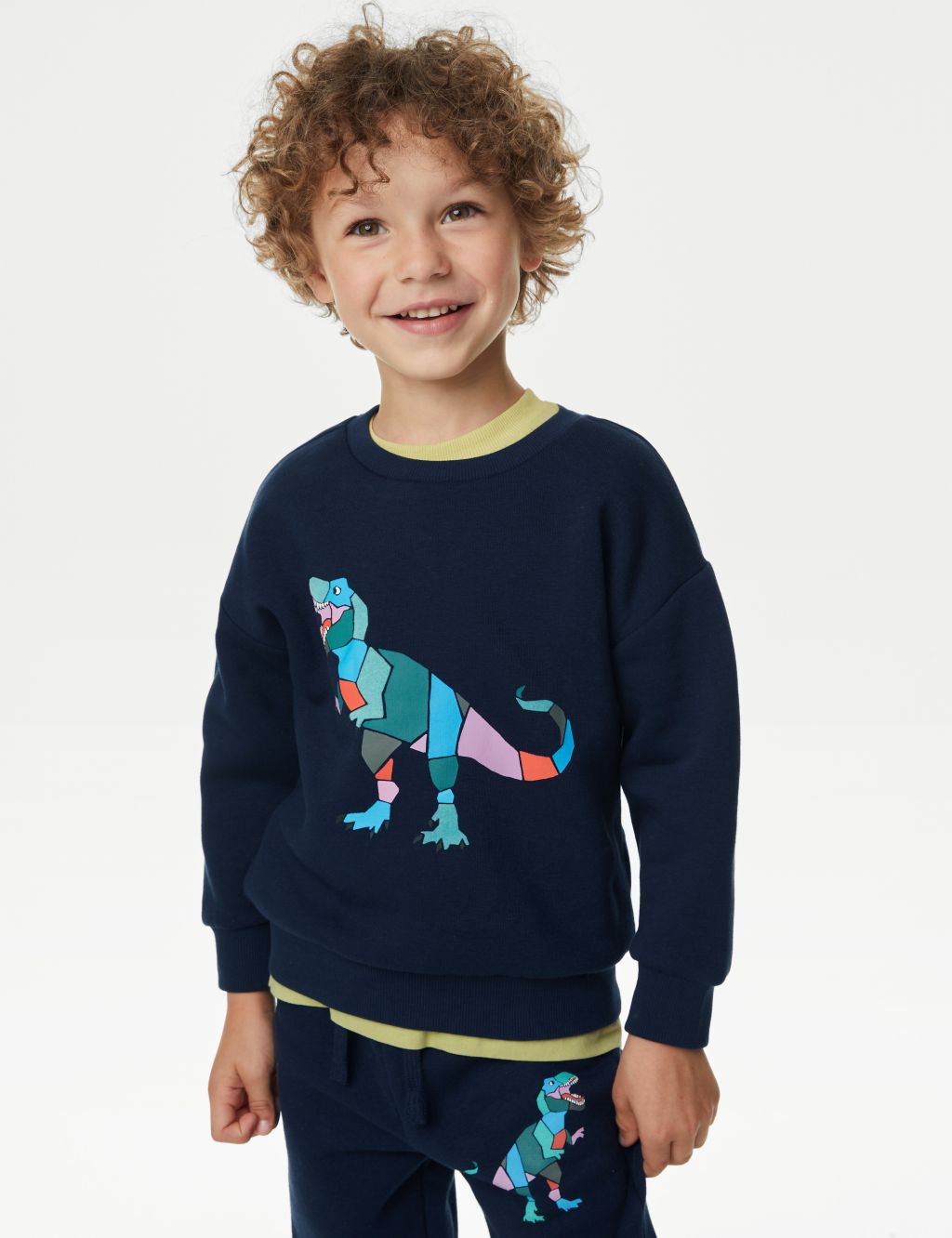 Cotton Rich Dinosaur Sweatshirt (2-8 Yrs) image 1