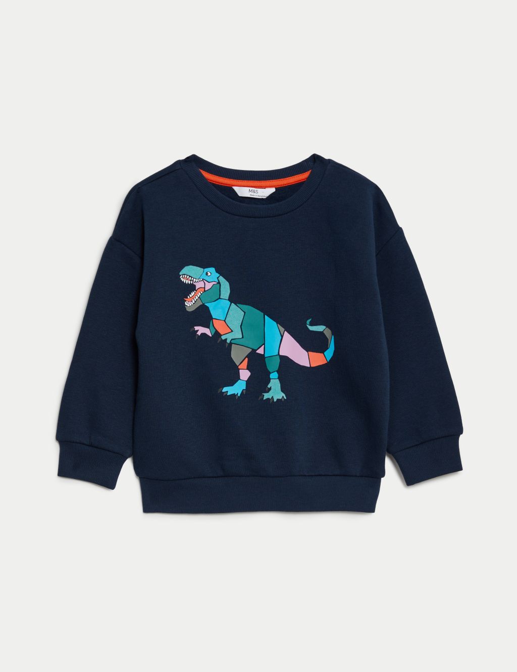 Cotton Rich Dinosaur Sweatshirt (2-8 Yrs) image 2