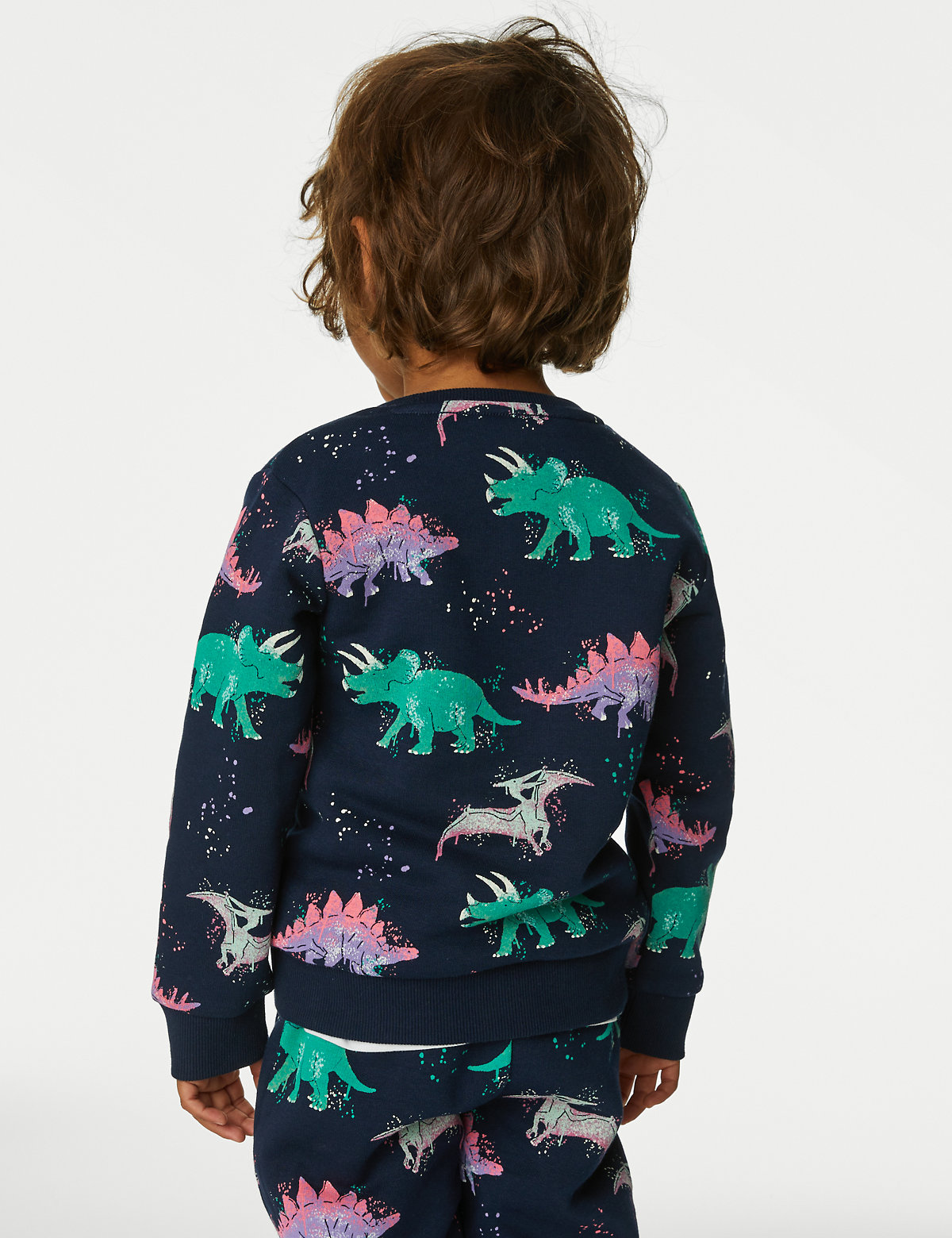 Cotton Rich Dinosaur Sweatshirt