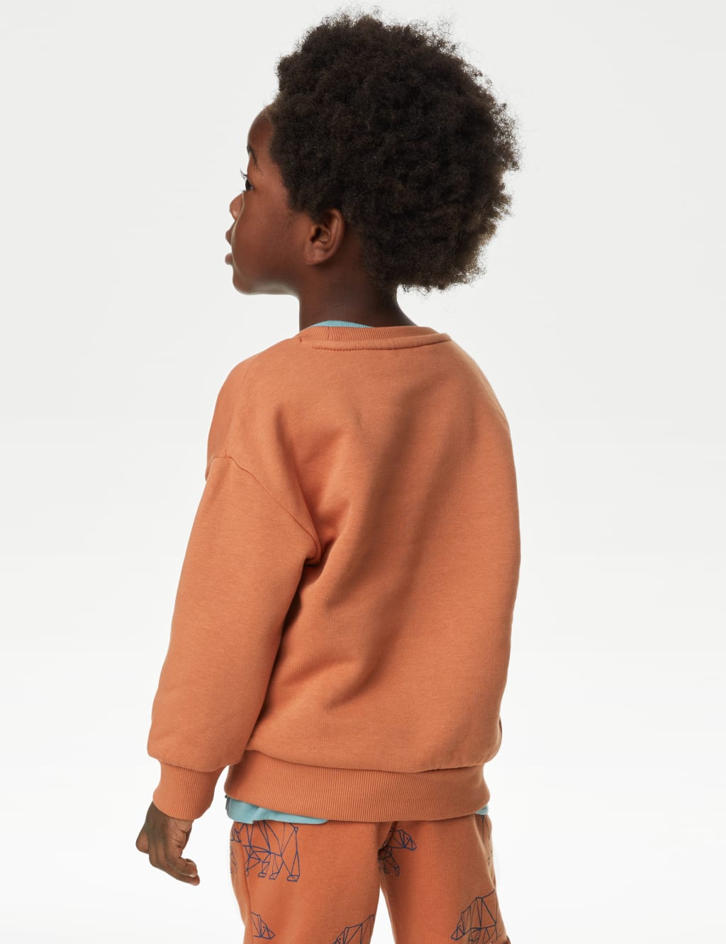 Cotton Rich Bear Sweatshirt (2-8 Yrs) image 4