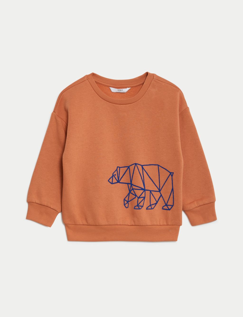 Cotton Rich Bear Sweatshirt (2-8 Yrs) image 2