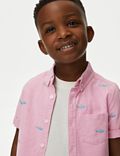 Pure Cotton Shark Embroidered Oxford Shirt (2-8 Yrs)