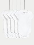 5pk Pure Cotton Bodysuits (0-36 Mths)