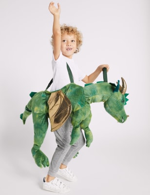 D&eacute;guisement enfant dragon